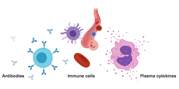 Pathogenesis of hyperinflammatory syndrome associated with COVID-19 in children