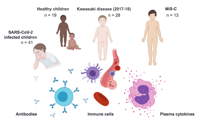 Pathogenesis of hyperinflammatory syndrome associated with COVID-19 in children