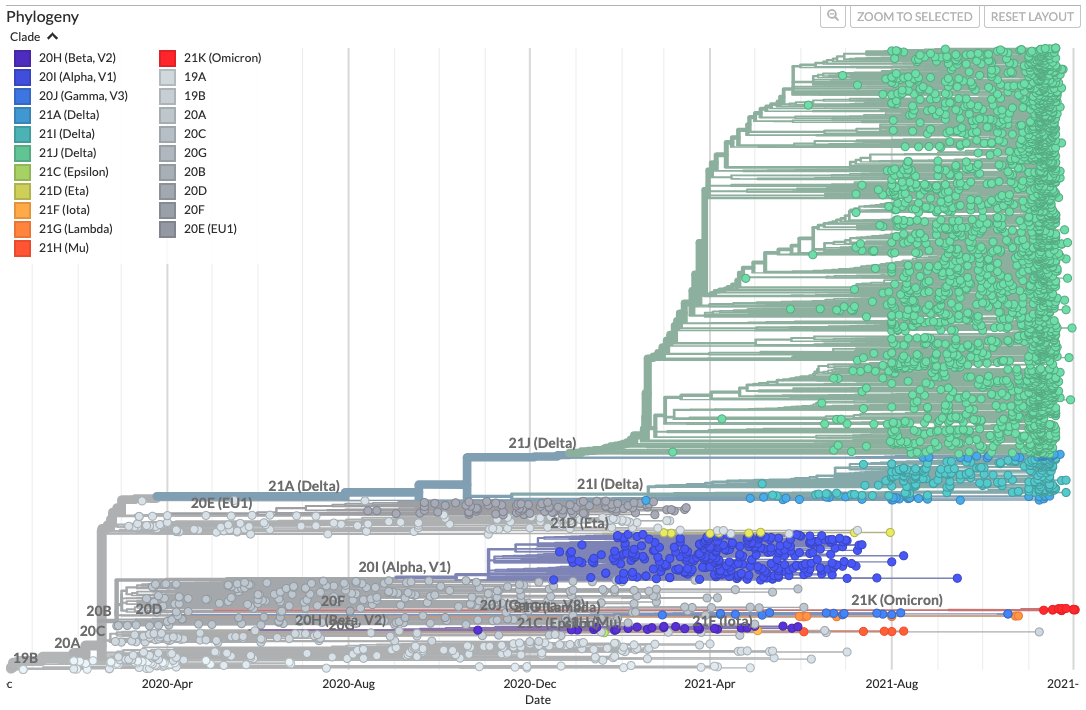 Screenshot from the Nextstrain build for Sweden