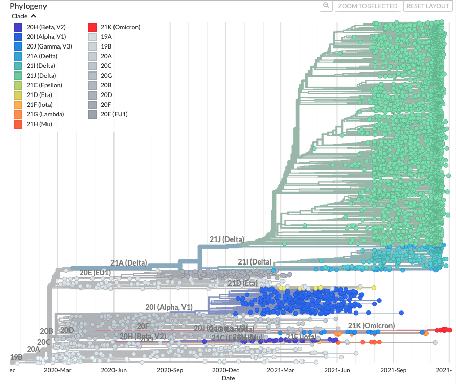 Screenshot from the Nextstrain build
